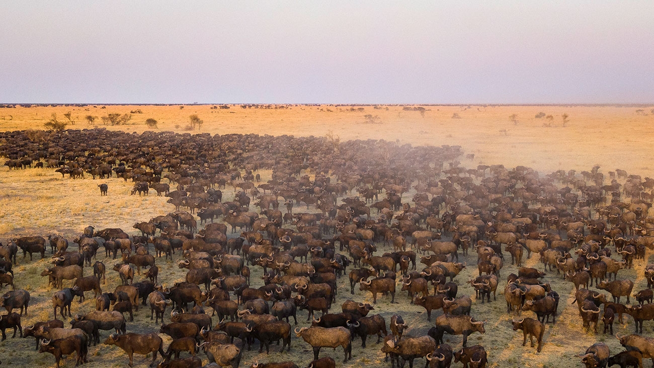 Wilderness to open ‘limited-edition’ tented camp in Botswana