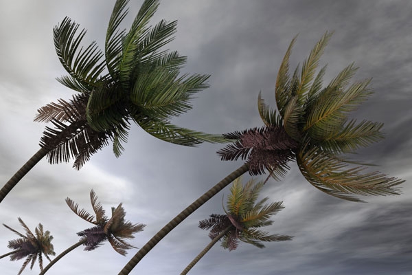 Flights cancelled as ‘potentially catastrophic’ Hurricane Beryl heads to Caribbean