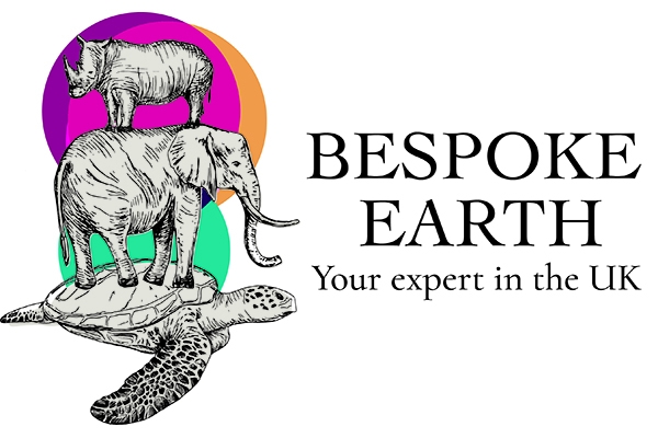 Bespoke Earth