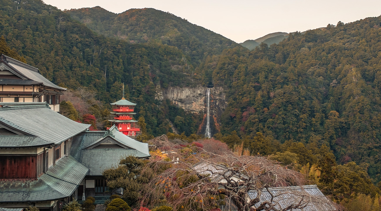 Spiritual healing: Discovering the power of nature on Japan's Kii Peninsula