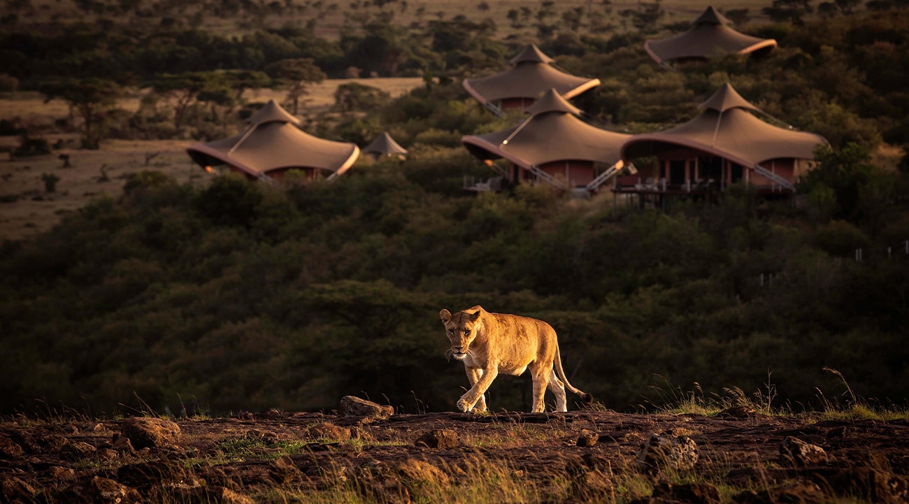 Discovering the magic of Virgin Limited Edition’s Mahali Mzuri