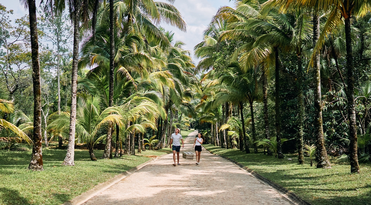 How cinematic touches bring filmmaker Francis Ford Coppola's properties in Belize to life