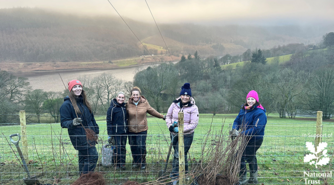 Travel Village Group staff use volunteer days to support National Trust project